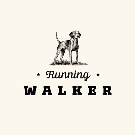 Beer-Chronicle-Houston-Craft-Beer-Review-Brewery-Running-Walker-Logo-pen-illustration-of-lab-hunting-dog