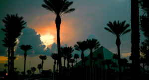 Beer-Chronicle-Houston-BrewMasters-Craft-Beer-Festival-galveston-labor-day-moody-gardens