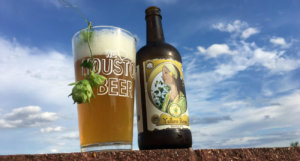 beer-chronicle-houston-craft-beer-review-lone-pint-yellow-rose-beer-in-pint-glass-with-hop-bud-hanging-out-of-glass-next-to-bottle-with-sky-background