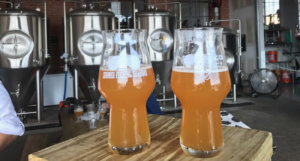 Beer-Chronicle-Houston-Craft-Beer-Signma-Brewing-DDH-Medina-Sod-shomer-fucking-shabbos-glasses