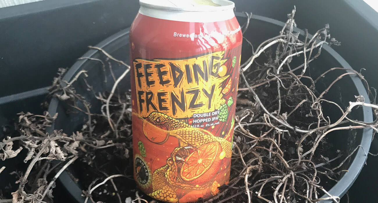 Beer-Chronicle-Houston-Craft-Beer-copperhead-feeding-frenzy-can