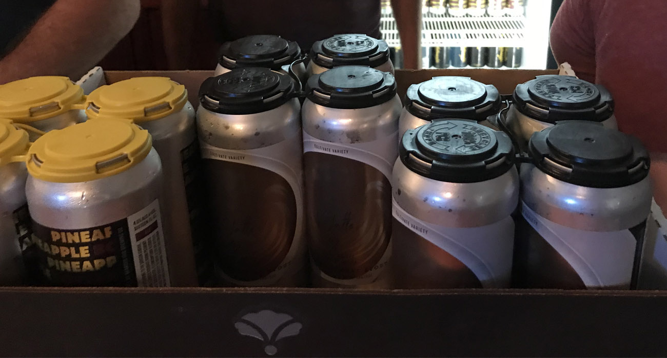 Beer-Chronicle-Houston-bearded-iris-brewing-nashville-tennessee-cans