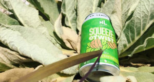 Beer-Chronicle-Houston-best-superbowl-beers-pairing-hot-wings-with-beer-plate