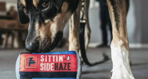 Beer-Chronicle-Houston-no-label-sittin-sidehaze-craft-beer-label-design-anthony-gorrity_0004_-pet-toy