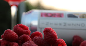 Beer-Chronicle-Houston-sigma-intermezzo-raspberry-passionfruit-berries